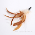 Cat Teaser Feather Toys Refill with Bells